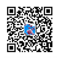 导热硅胶片,导热双面胶,导热硅脂,石墨片,矽胶布,相变化材料等导热材料,乐鱼leyu官方网站
